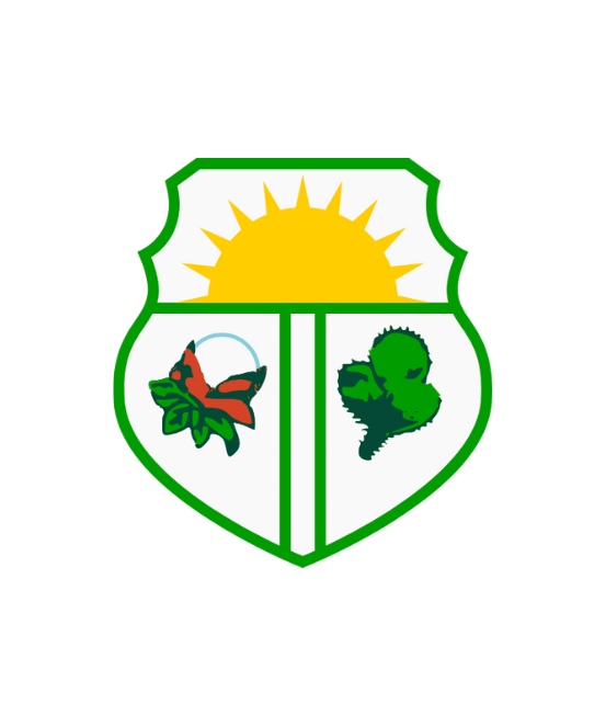 Imagem da Prefeitura