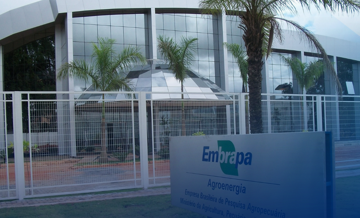 Concurso Embrapa 2025: divulgados resultados de provas para todos os cargos; veja detalhes e quem passou