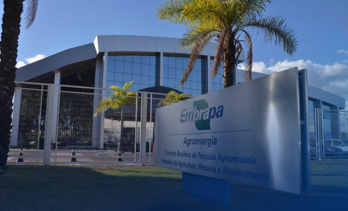 Concurso Embrapa: Resultado final das provas objetivas e convocação para prova prática é divulgado