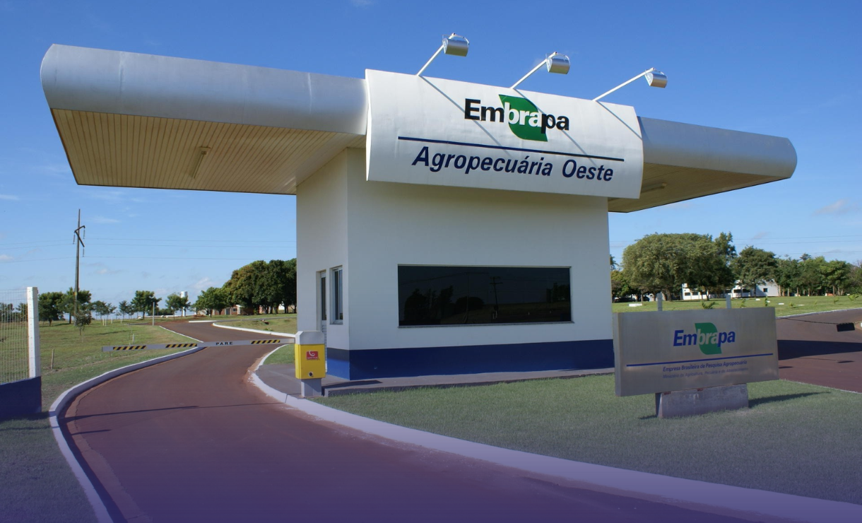 Concurso Embrapa: divulgado resultado provisório da prova prática para técnico e assistente