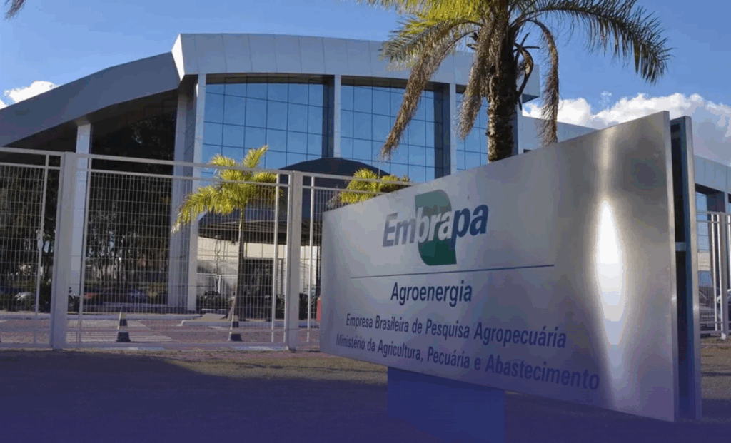 Concurso Embrapa: Novas convocações e resultados são divulgados; confira!
