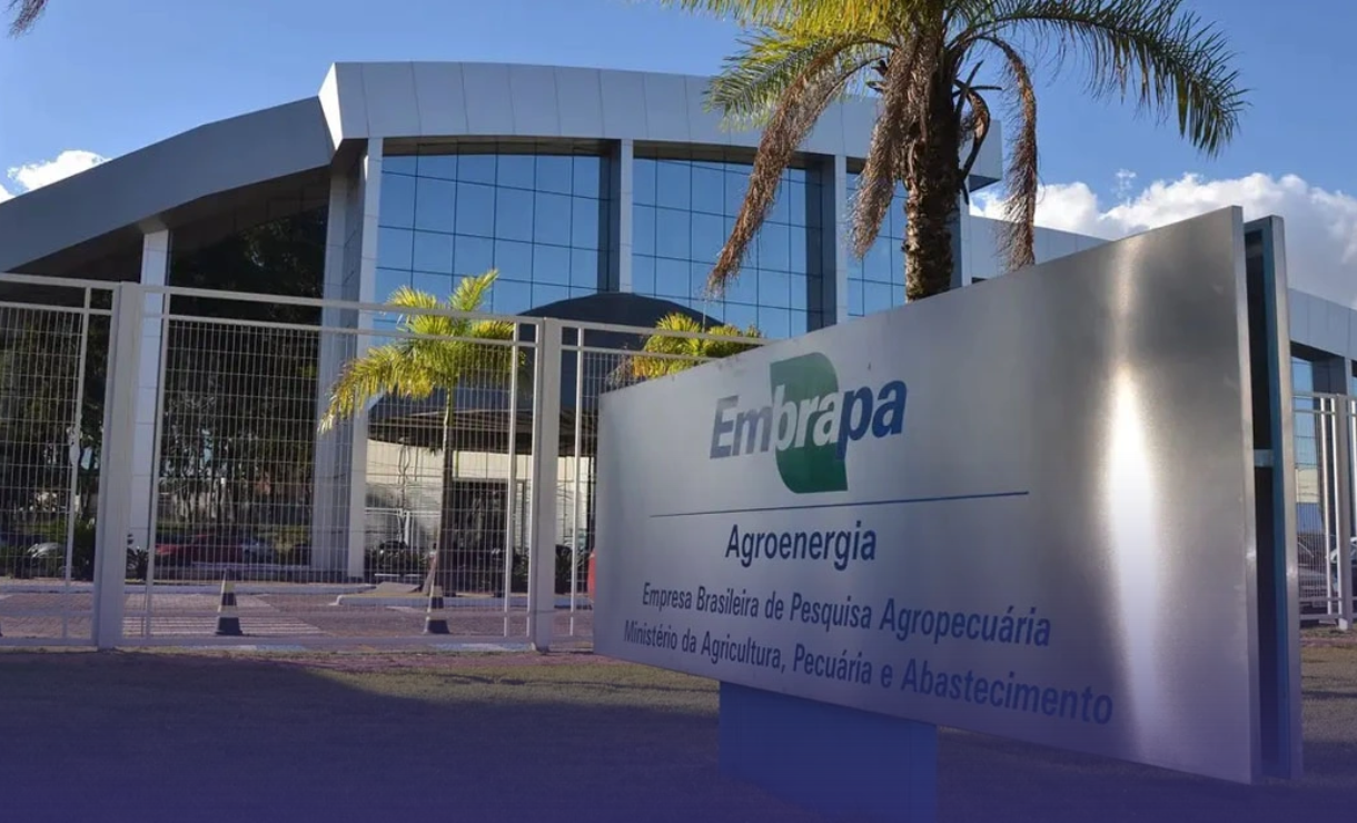 Concurso Embrapa: Novas convocações e resultados são divulgados; confira!