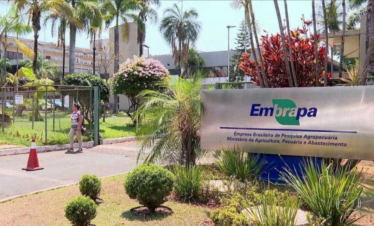 Homologado o resultado do concurso Embrapa para analista, técnico e assistente; confira!