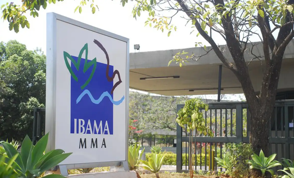 Resultados do concurso Ibama são divulgados; confira!