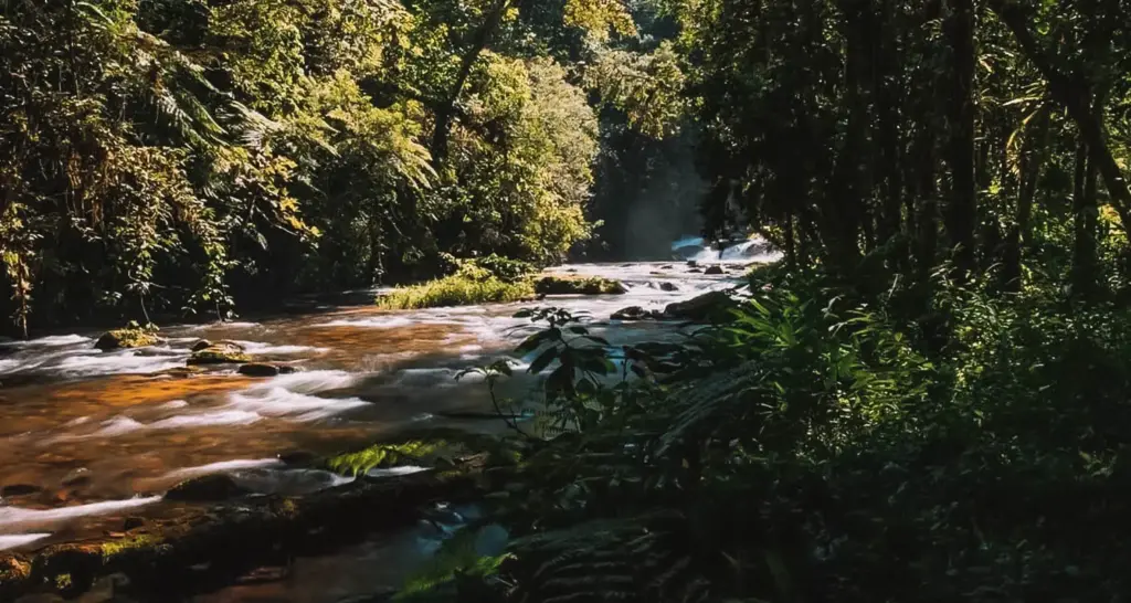 Miracatu concurso público