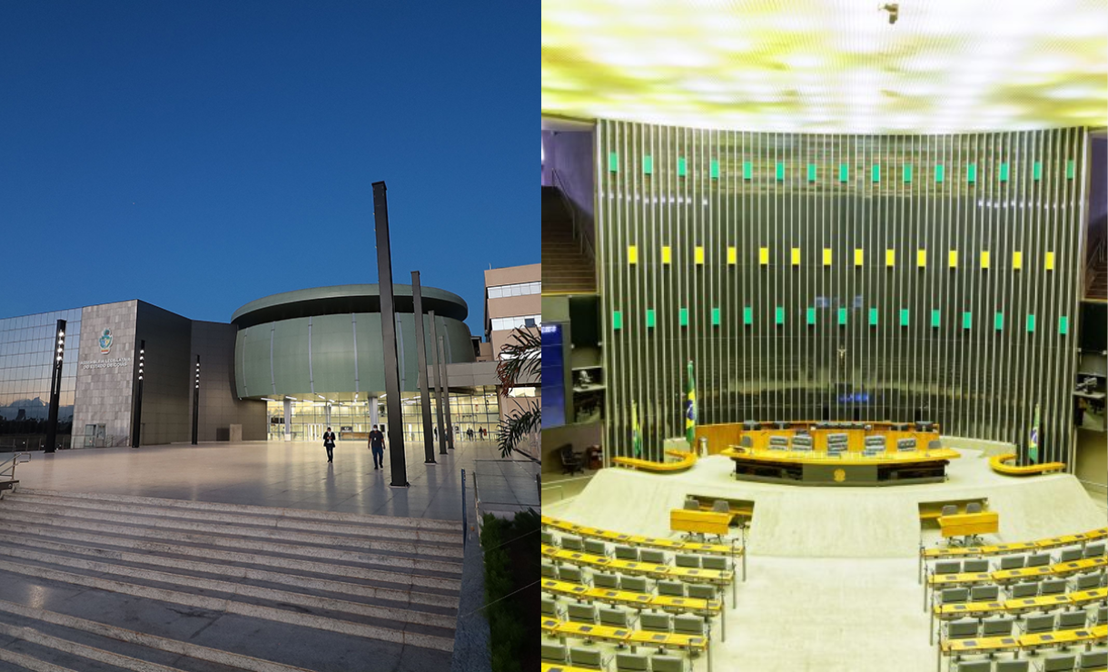 Concurso Alego x Concurso Câmara dos Deputados: É possível estudar para os dois ao mesmo tempo?